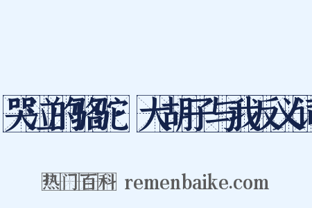 哭泣的骆驼·大胡子与我反义词是什么意思的图片